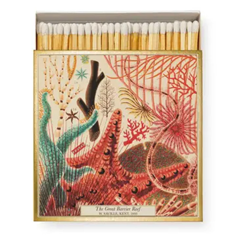 Great Barrier Reef Square Matchbox