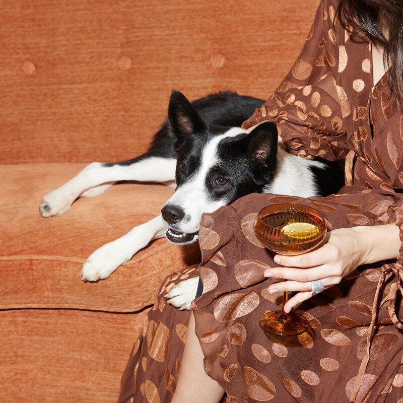 Lou Coupe Glass Set of 2 Amber