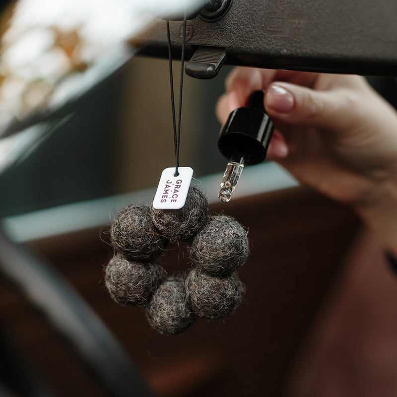 Wildgrass & Driftwood Air Freshener Set