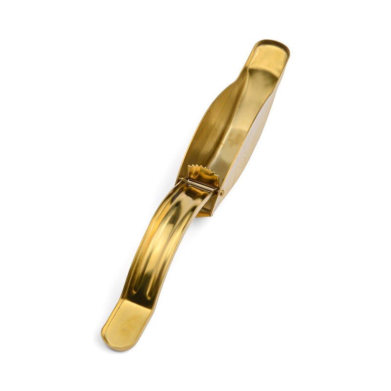 Stevie Fish Citrus Juicer