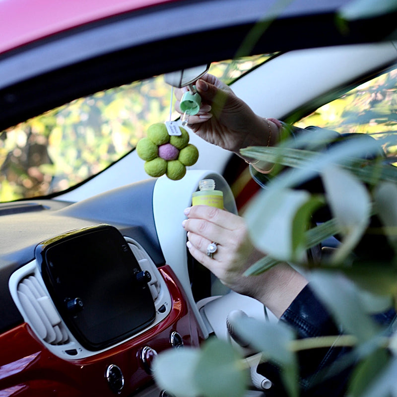 Wild Frangipani & Rose Air Freshener Set