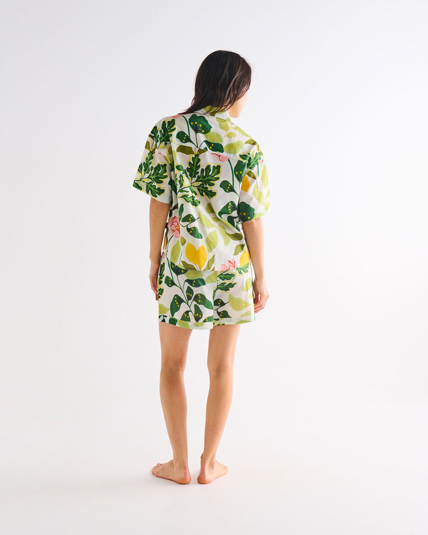 Wander Cotton Short Sleeve & Shorts Pyjamas