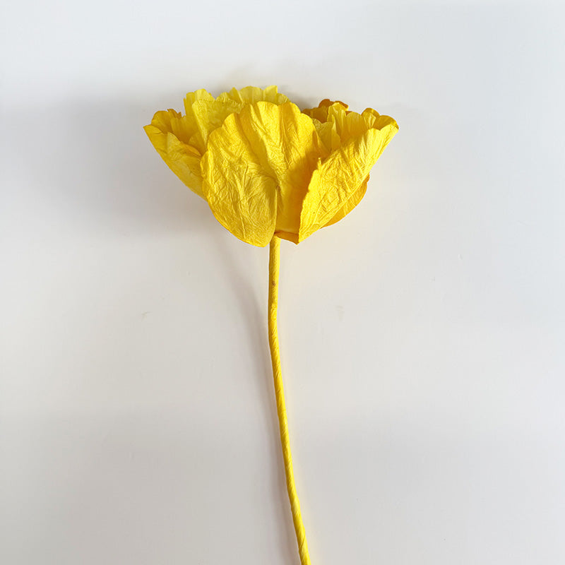 Hellenium Paper Flower Yellow