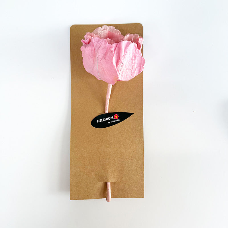 Hellenium Paper Flower Salmon