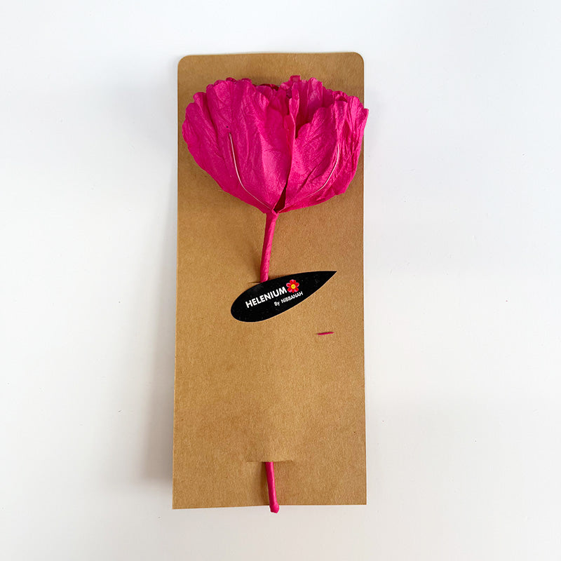 Hellenium Paper Flower Pink