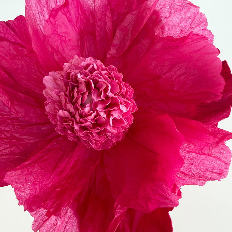 Hellenium Paper Flower Pink