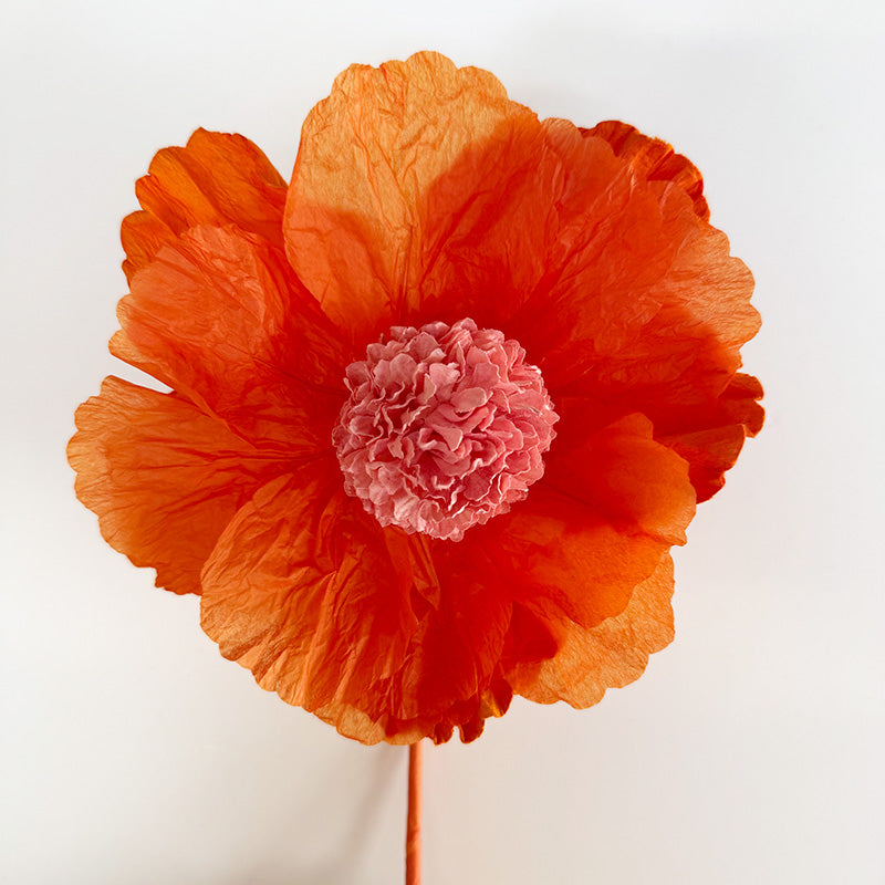 Hellenium Paper Flower Orange