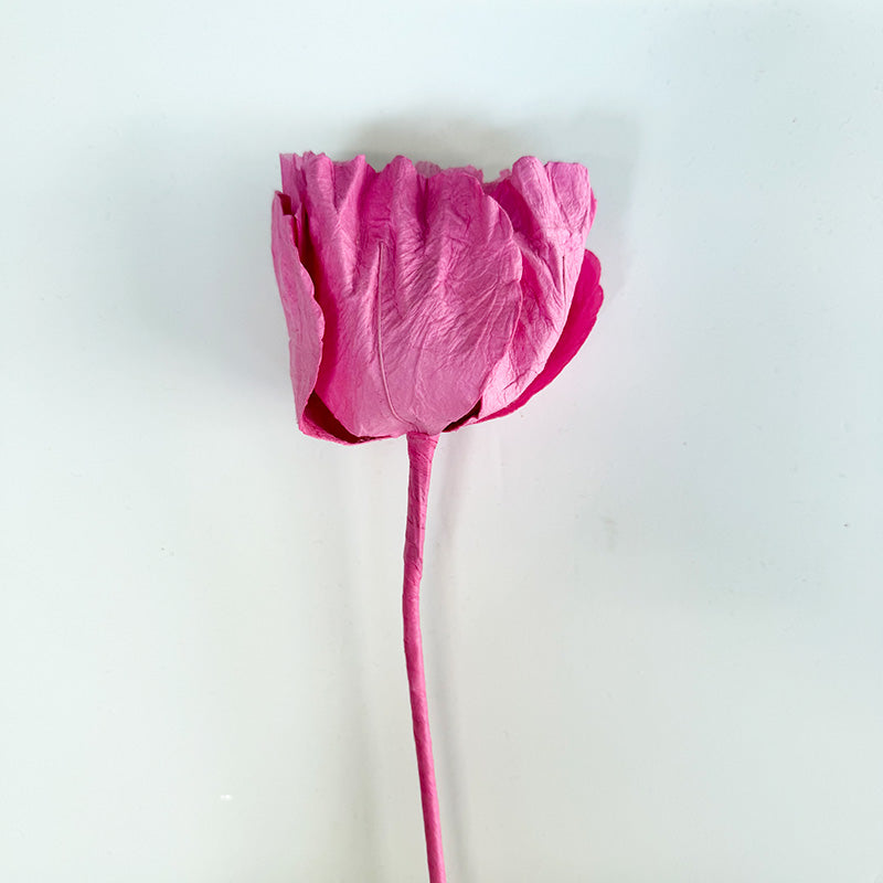 Hellenium Paper Flower Soft Pink