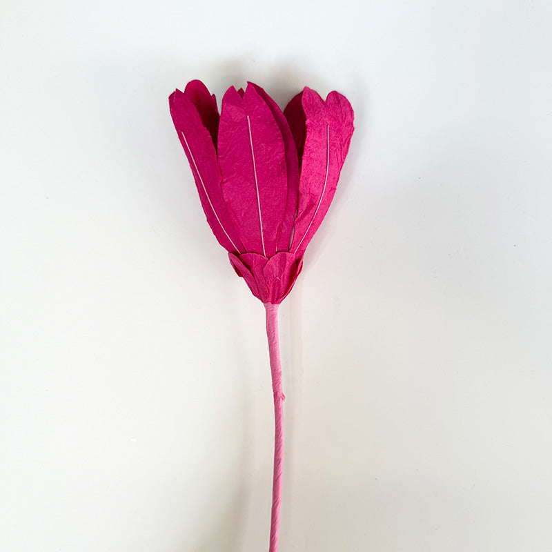 Echinacea Paper Flower Pink