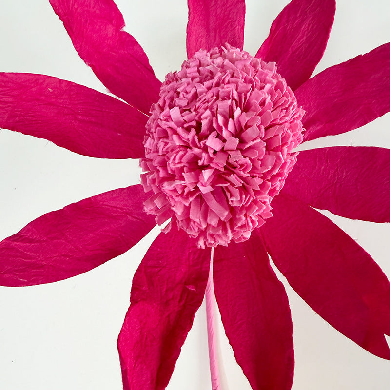 Echinacea Paper Flower Pink