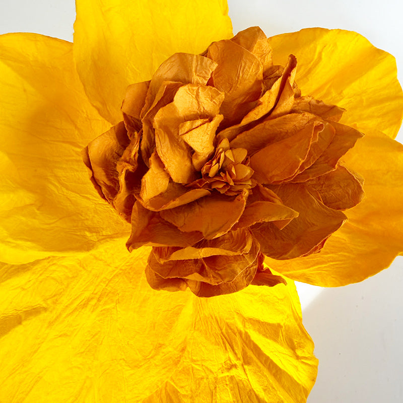 Camelia Paper Flower Yellow