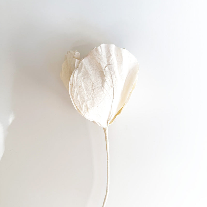 Camelia Paper Flower White