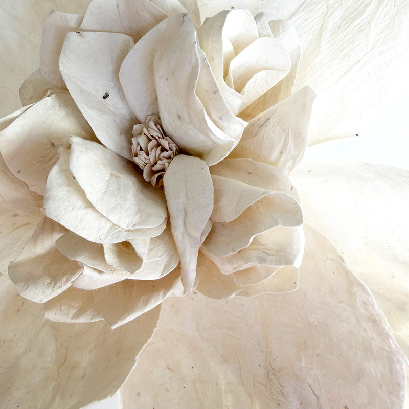 Camelia Paper Flower White