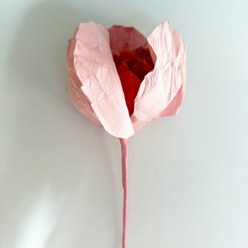 Camelia Paper Flower Salmon