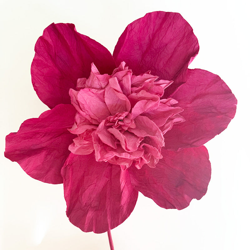 Camelia Paper Flower Pink