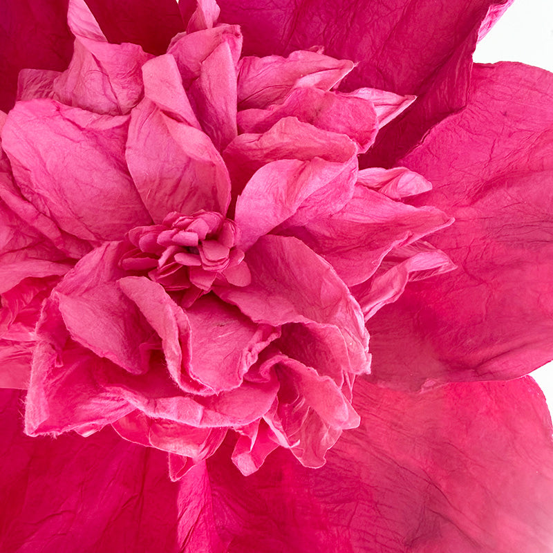 Camelia Paper Flower Pink