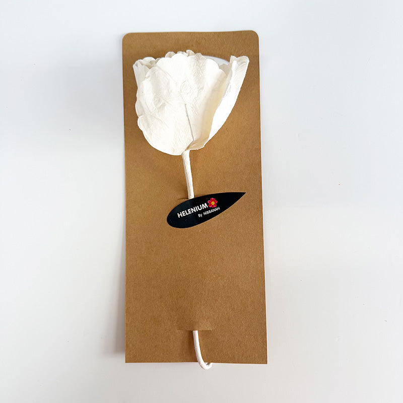 Hellenium Paper Flower White
