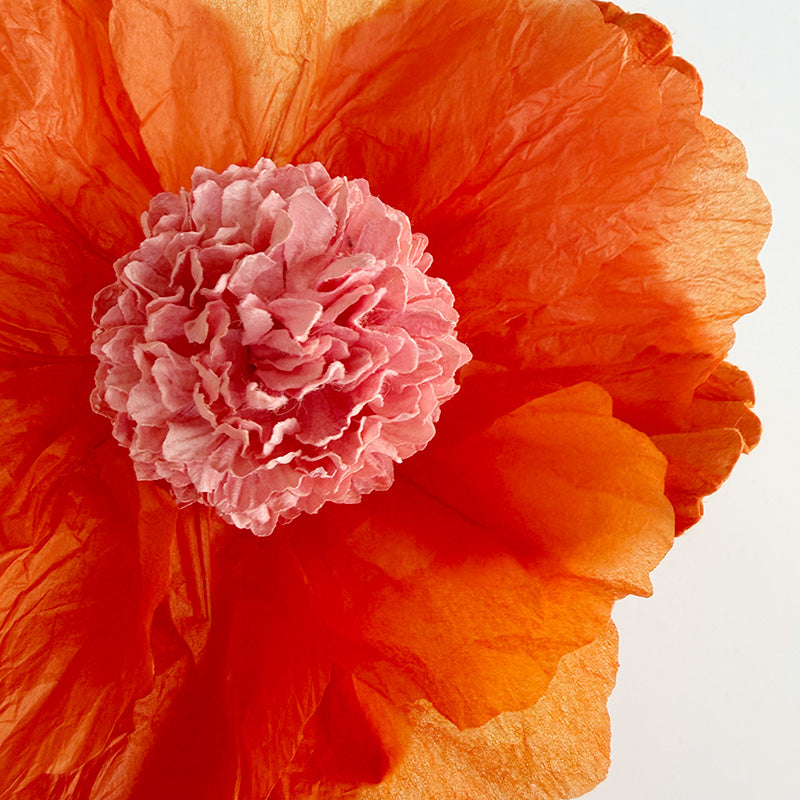 Hellenium Paper Flower Orange