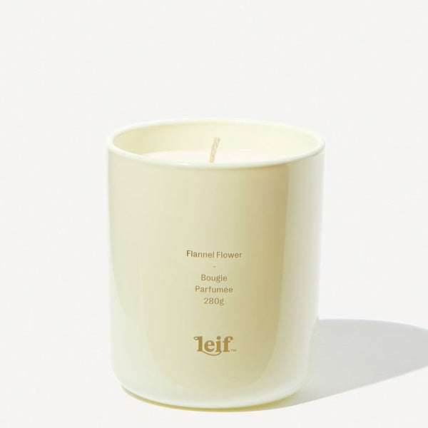 Find Flannel Flower Candle 280gm - Leif at Bungalow Trading Co.