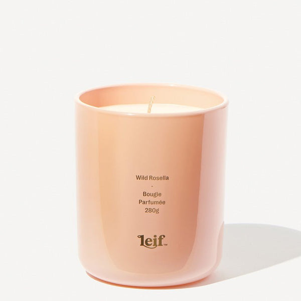 Find Wild Rosella Candle 280gm - Leif at Bungalow Trading Co.