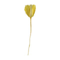 Yellow Small Moonshine Paper Flower