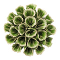 Ceramic Flower Succulent