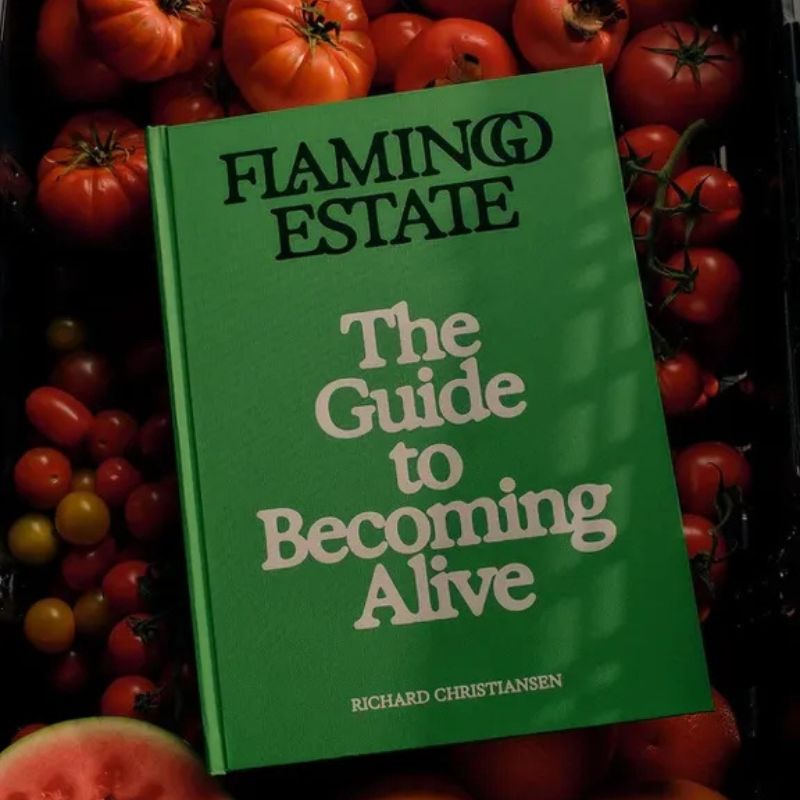Flamingo Estate: The Guide to Becoming Alive