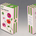 DIY Paper Flower Kit Gerberas