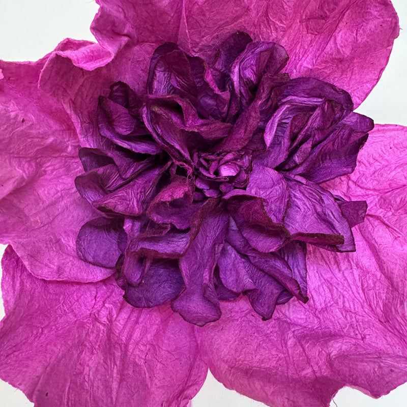 Camelia Paper Flower Purple