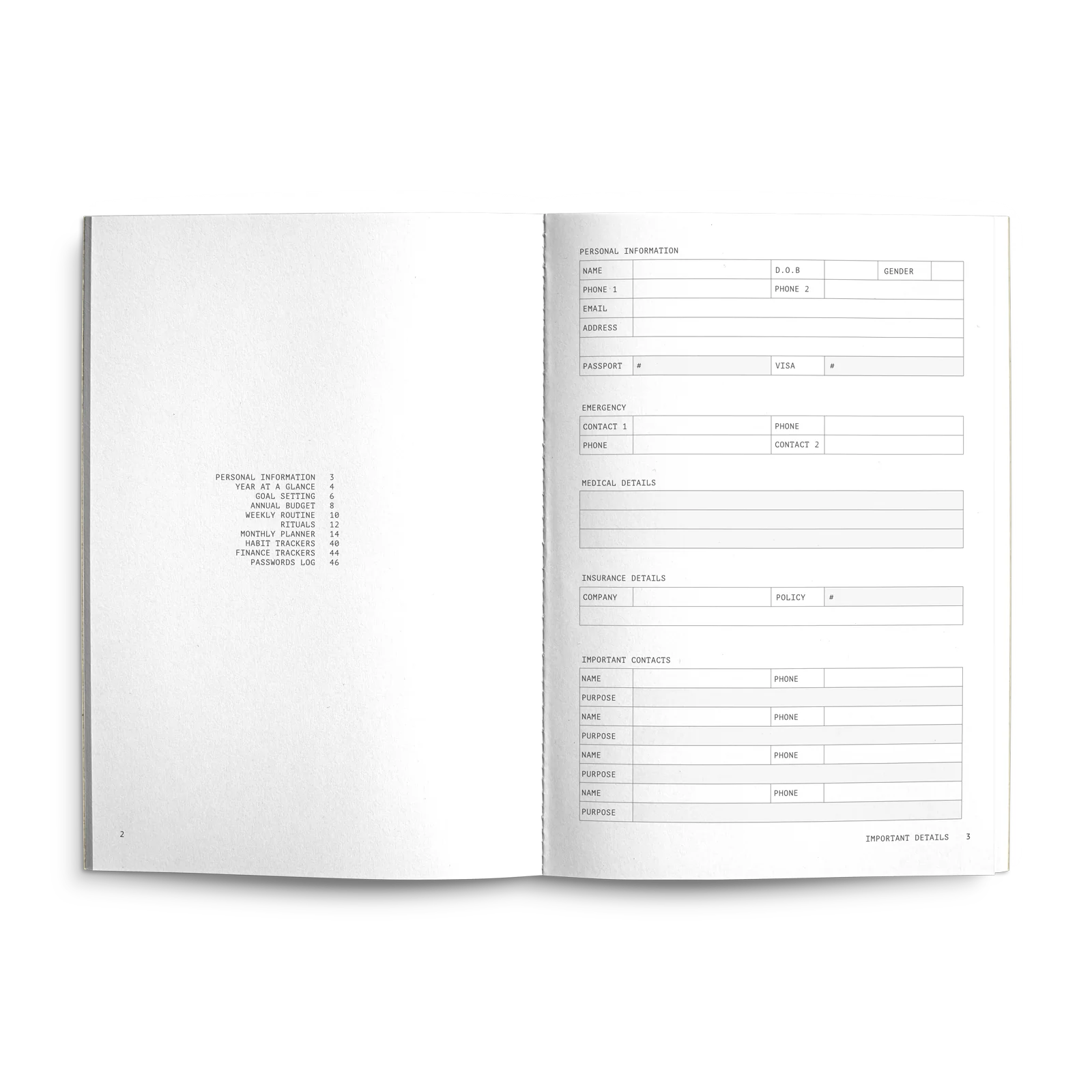 Future Planner Blushing Oyster