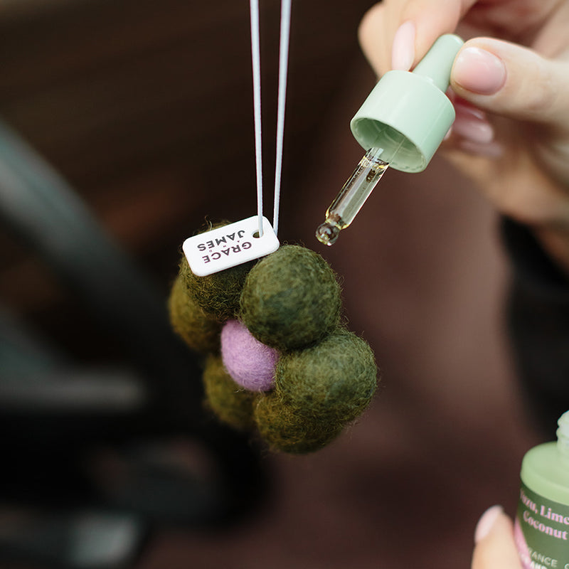 Yuzu, Lime & Coconut Air Freshener Set