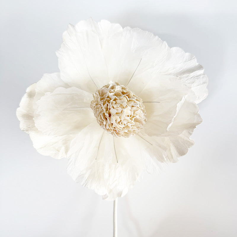 Hellenium Paper Flower White