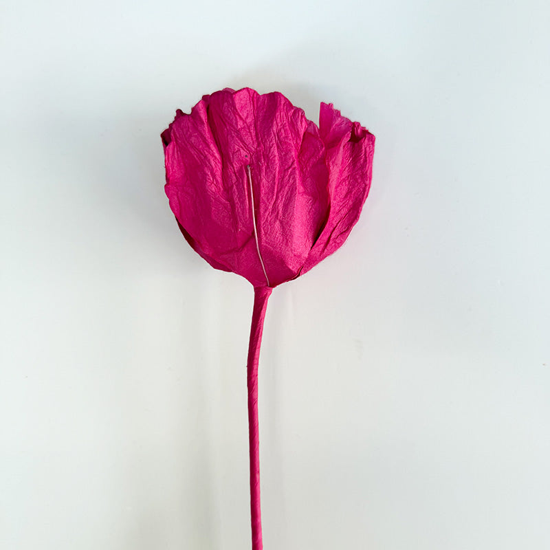 Hellenium Paper Flower Pink