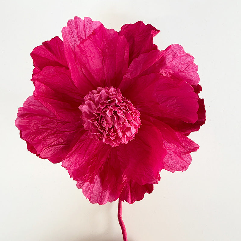Hellenium Paper Flower Pink