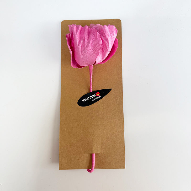 Hellenium Paper Flower Soft Pink