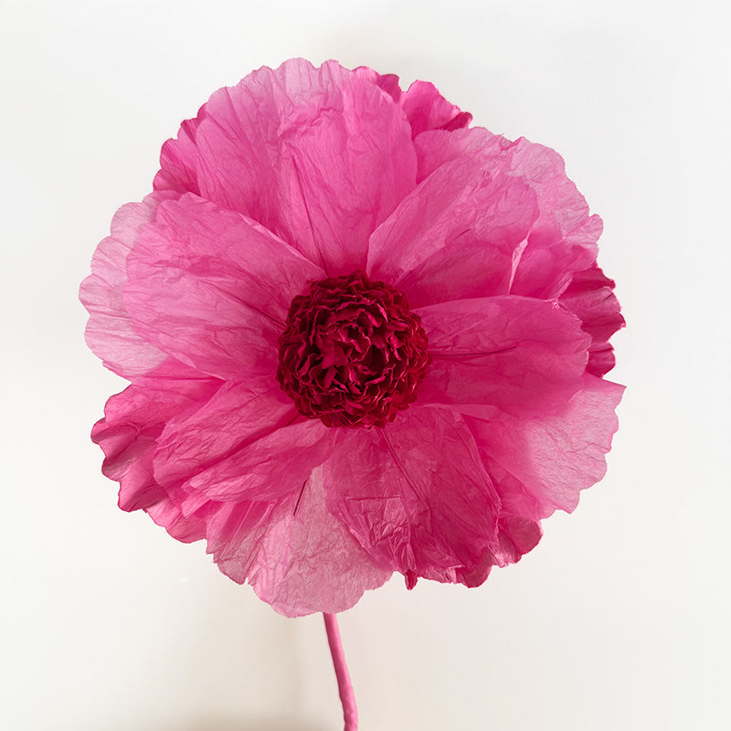 Hellenium Paper Flower Soft Pink