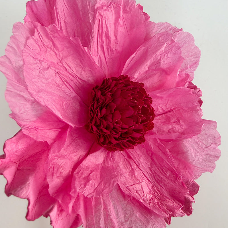 Hellenium Paper Flower Soft Pink
