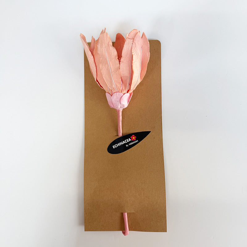 Echinacea Paper Flower Salmon