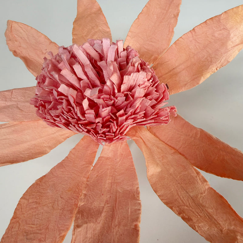 Echinacea Paper Flower Salmon