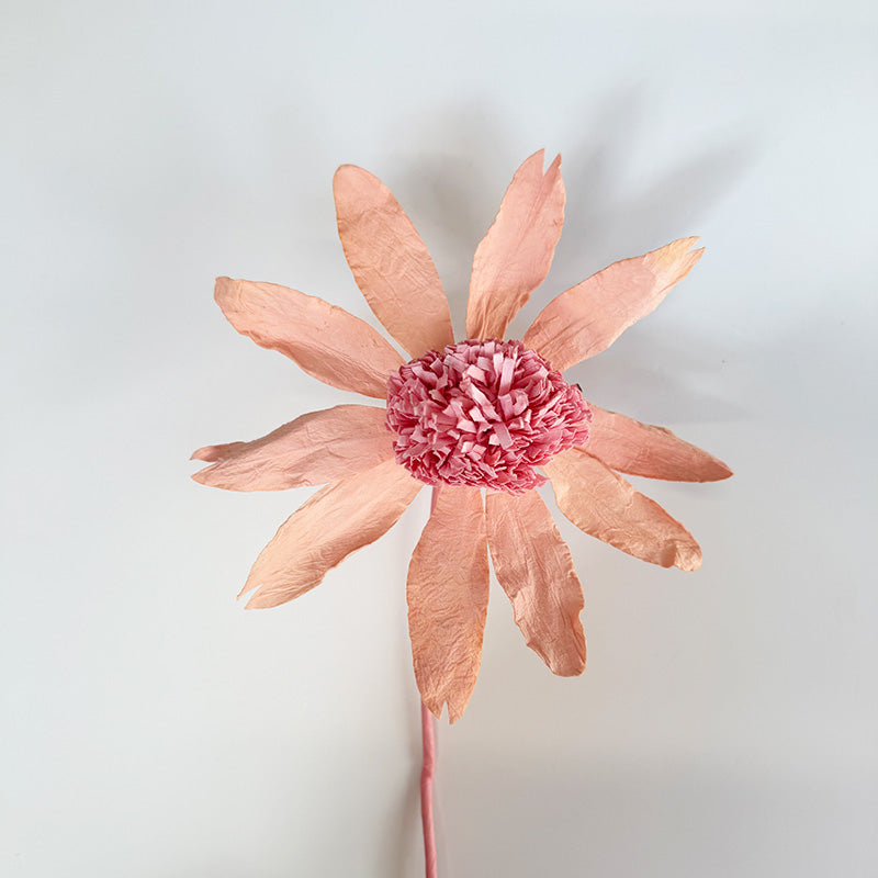 Echinacea Paper Flower Salmon