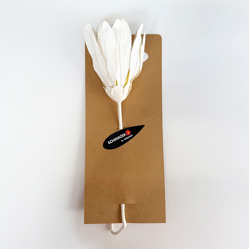 Echinacea Paper Flower White