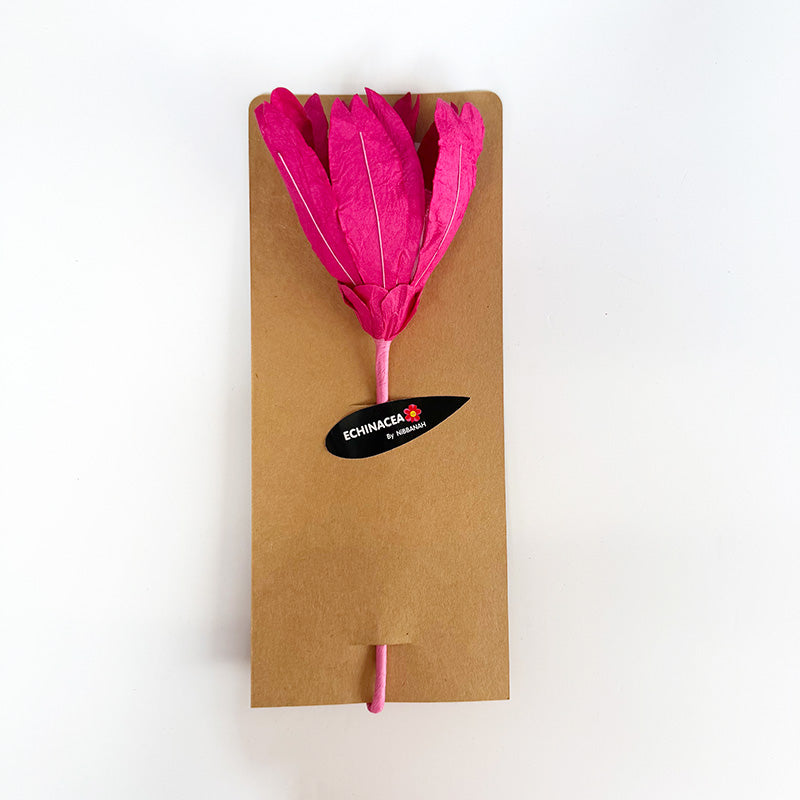 Echinacea Paper Flower Pink
