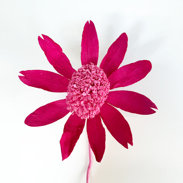 Echinacea Paper Flower Pink