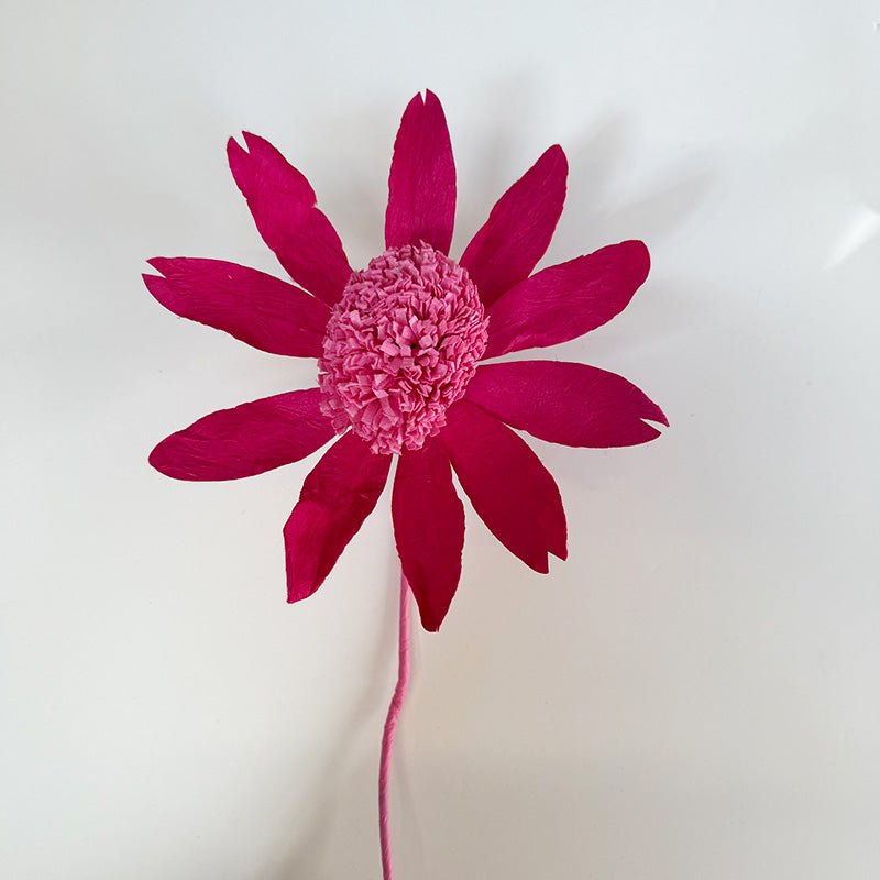 Echinacea Paper Flower Pink