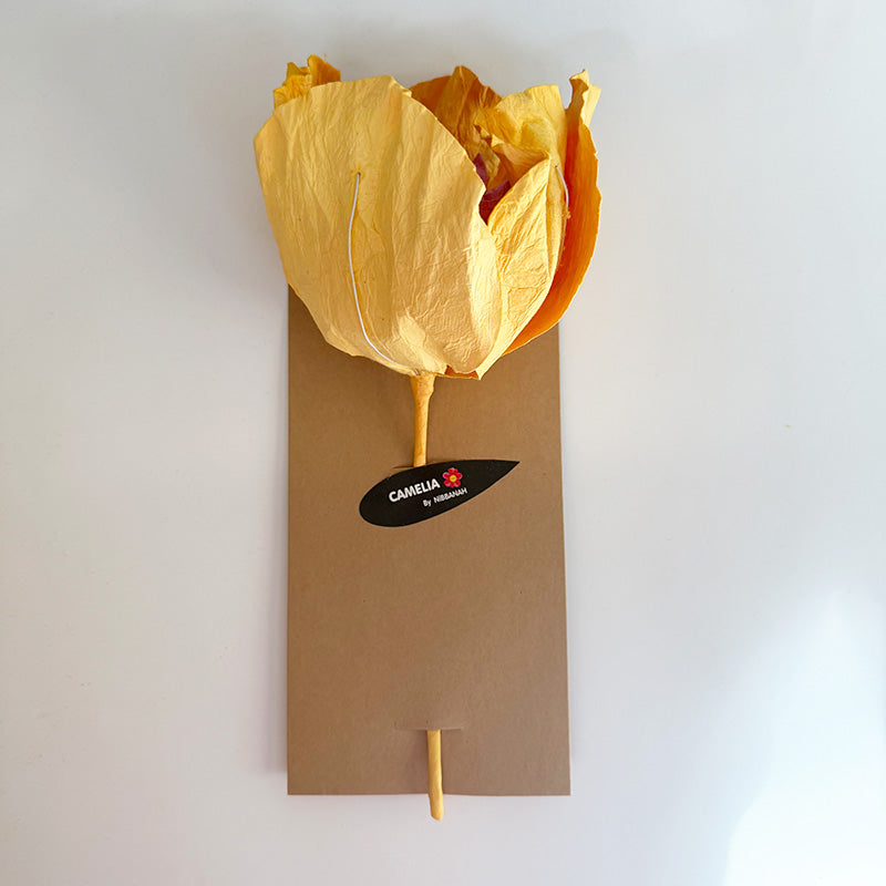 Camelia Paper Flower Apricot