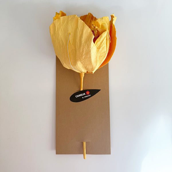 Camelia Paper Flower Apricot