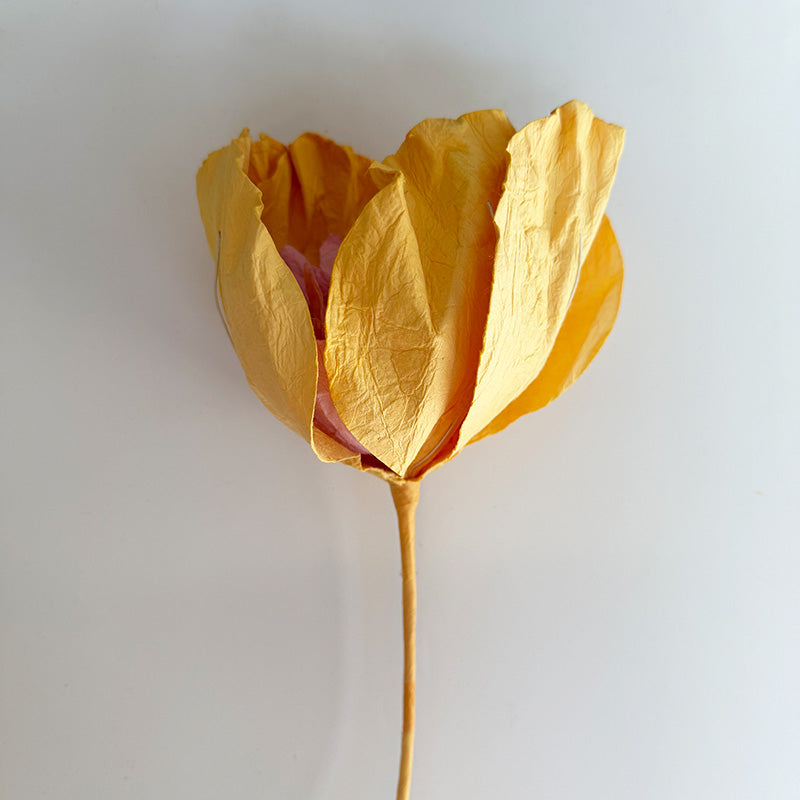 Camelia Paper Flower Apricot