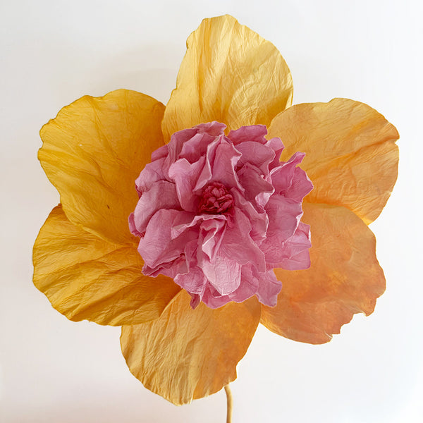 Camelia Paper Flower Apricot