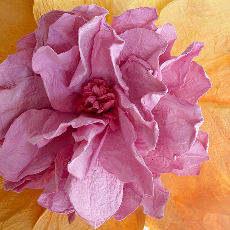 Camelia Paper Flower Apricot