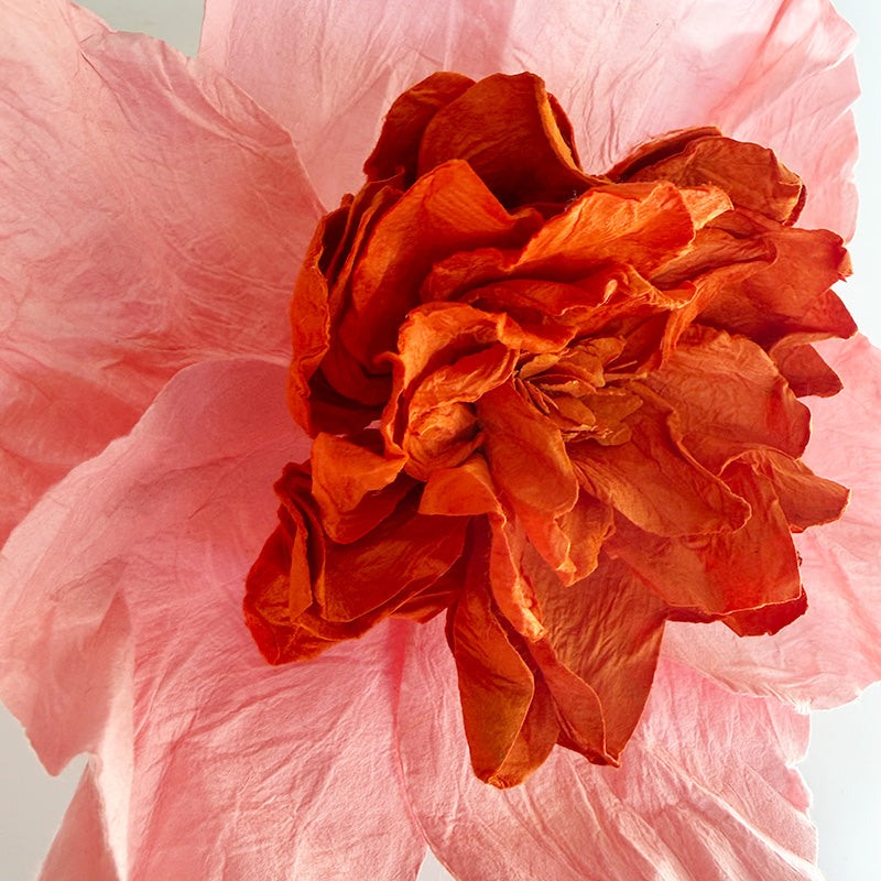 Camelia Paper Flower Salmon
